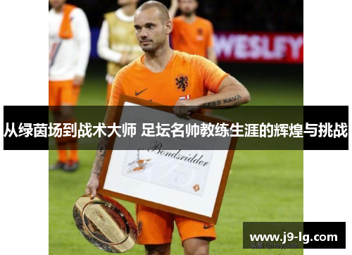 从绿茵场到战术大师 足坛名帅教练生涯的辉煌与挑战