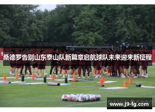 桑德罗告别山东泰山队新篇章启航球队未来迎来新征程