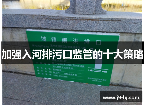 加强入河排污口监管的十大策略